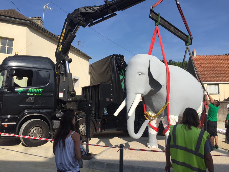 elephant_retour_4