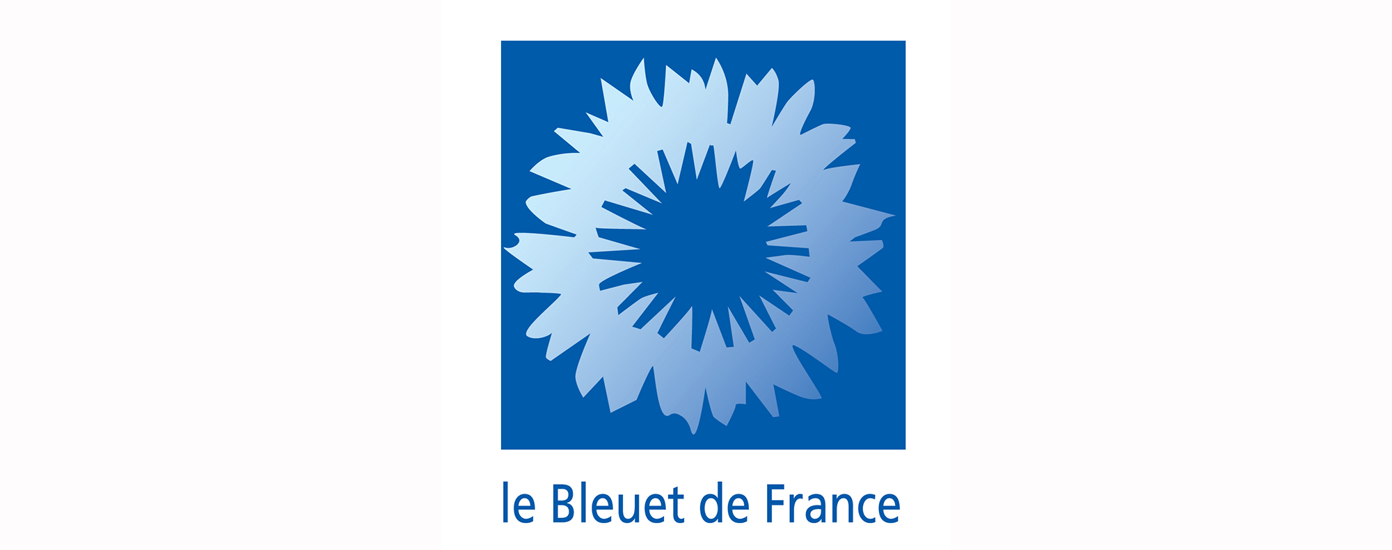 logo_bleuet_de_france
