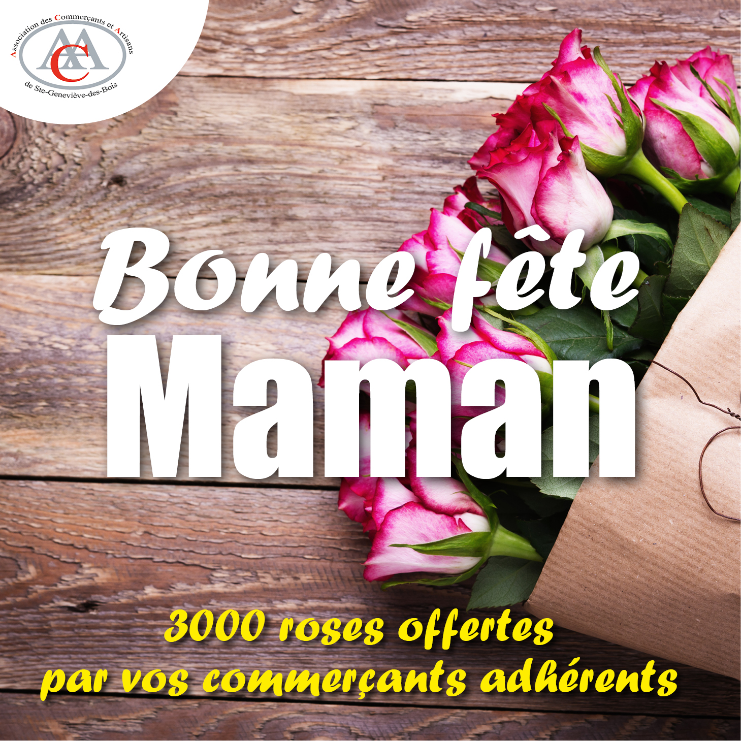 Fete Des Momes Sainte Genevieve Des Bois 2022