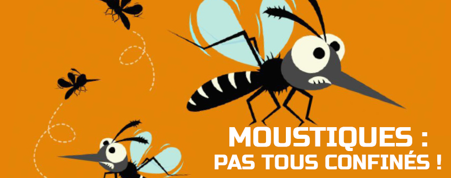 2020_04_16_moustique_-_web_bann_1