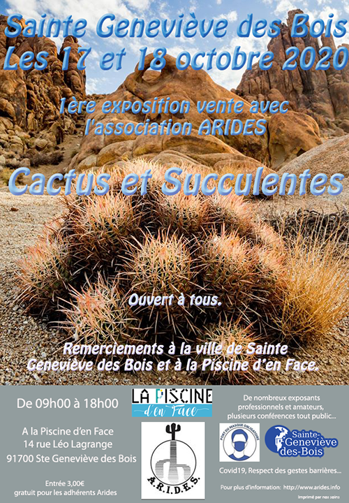 affiche_cactus