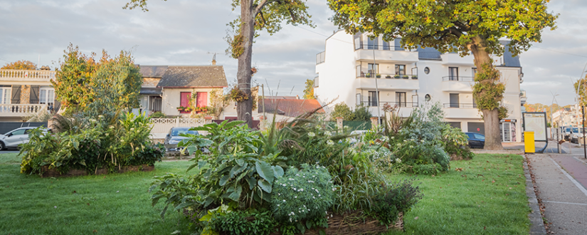 bann réunion PLU