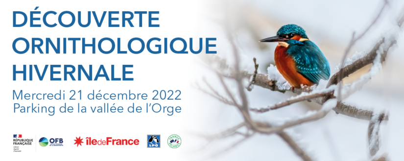 2022 12 15 Ballade Ornithologique-Banniere-BanniereWEB