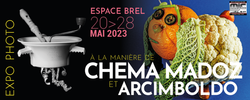 2023 01 13 expo a la maniere de - WEB bann