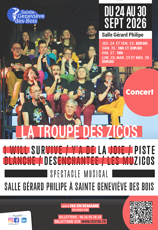affiche LES ZICOS