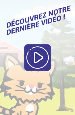 2026-04-03---Vignette-Insta-Web