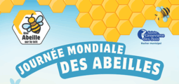 Journée mondiale des Abeilles