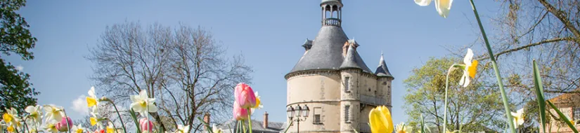 donjon_couv
