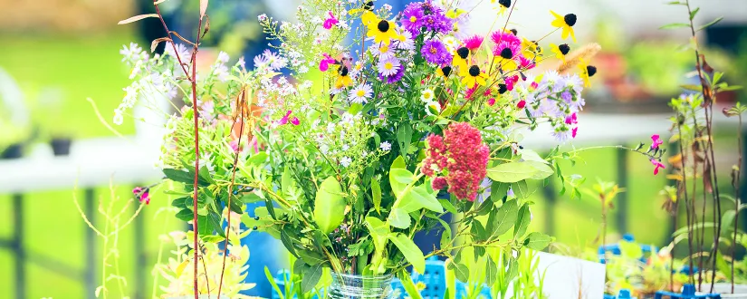 bann troc-plantes