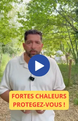 Miniature dernière vidéo Instagram 2