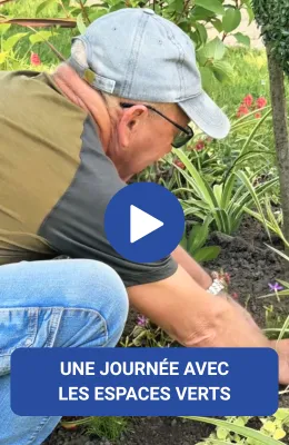 Miniature dernière vidéo Instagram (3)