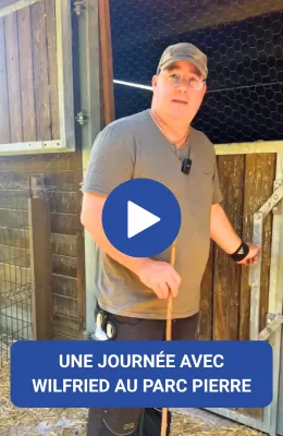 Miniature dernière vidéo Instagram
